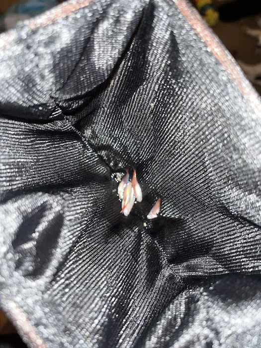 Pets at Home Grantham Picture 6