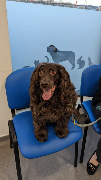 Norwood Veterinary Group Kingswood Picture 1