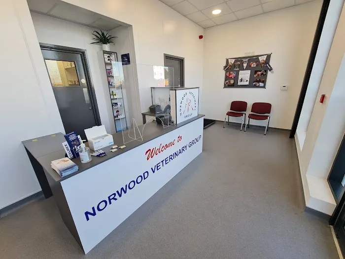 Norwood Veterinary Group Kingswood Picture 8