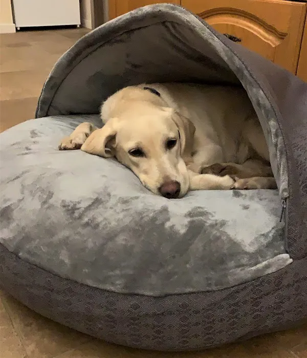 Paws Home Comforts Cave Beds Picture 8