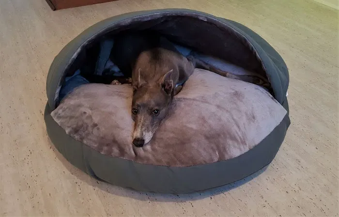 Paws Home Comforts Cave Beds Picture 1