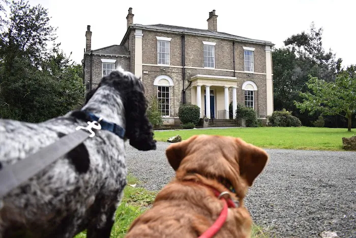 Medivet Sutton-on-Hull Picture 9