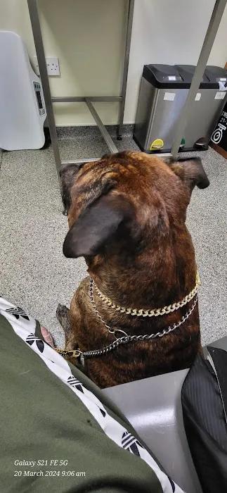 Haven Veterinary Group, Hull Picture 1