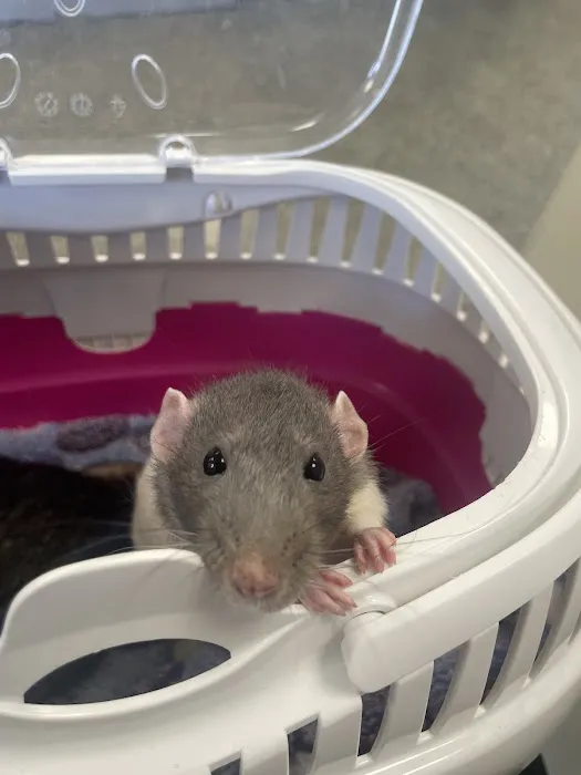 Haven Veterinary Group, Hull Picture 9
