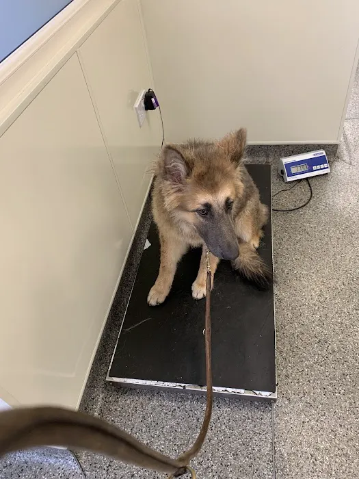 Haven Veterinary Group, Hull Picture 7
