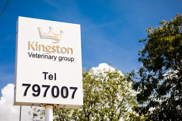 Kingston Veterinary Group Picture 5