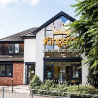 Kingston Veterinary Group ico
