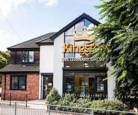 Kingston Veterinary Group