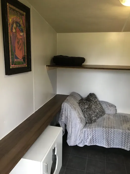 Bilton Cattery Picture 7
