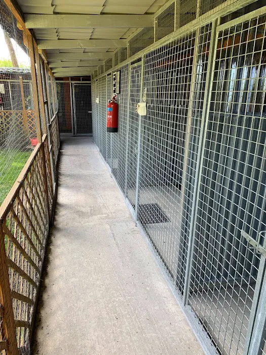 Bilton Cattery Picture 9