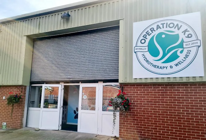 Operation K9 Canine Hydrotherapy Beverley Picture 1