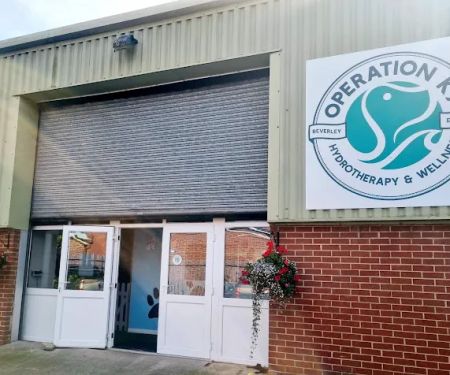 Operation K9 Canine Hydrotherapy Beverley