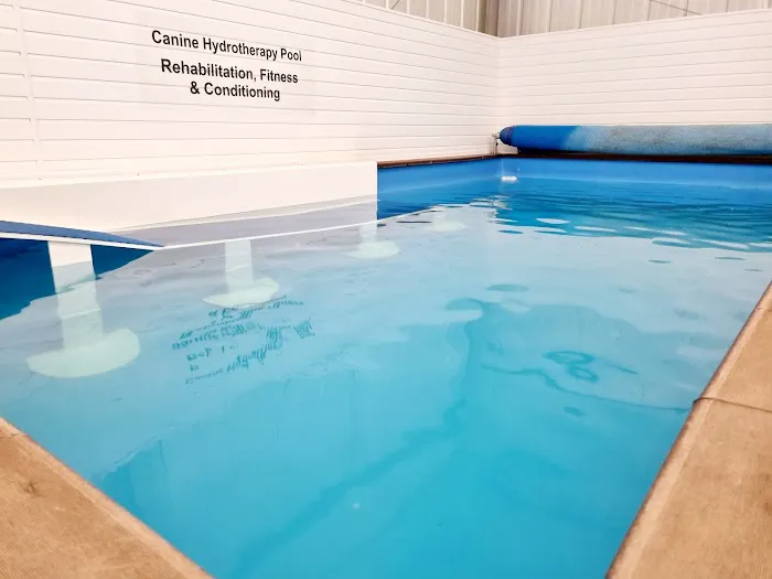 Operation K9 Canine Hydrotherapy Beverley Picture 5