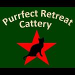 Purrfect Retreat