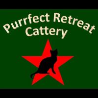 Purrfect Retreat ico