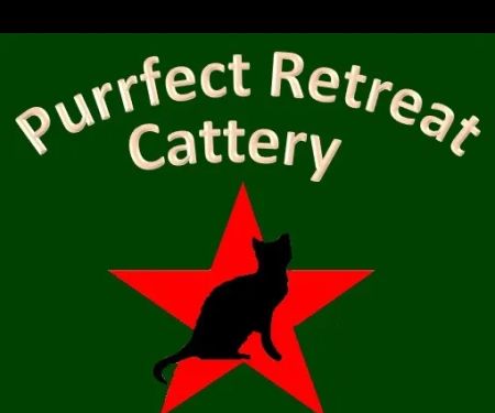 Purrfect Retreat
