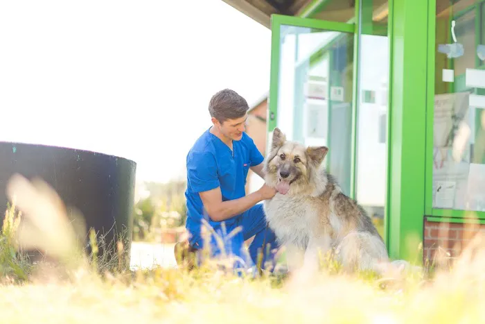 Kirks Vets Picture 8