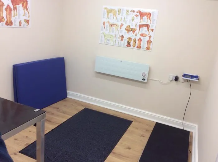 Veterinary Acupuncture and Pain Management Picture 4