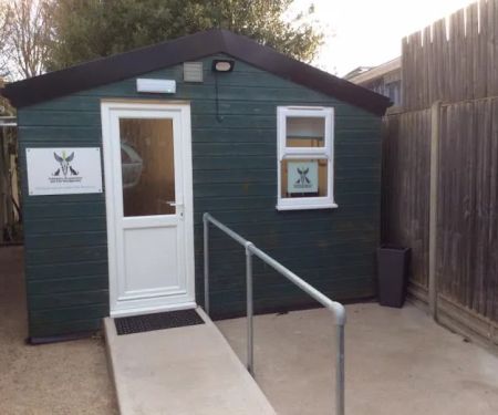 Veterinary Acupuncture and Pain Management