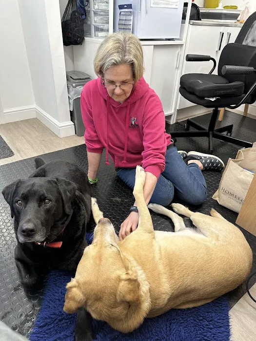 Veterinary Acupuncture and Pain Management Picture 6
