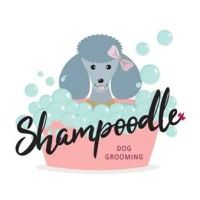 Shampoodle ico
