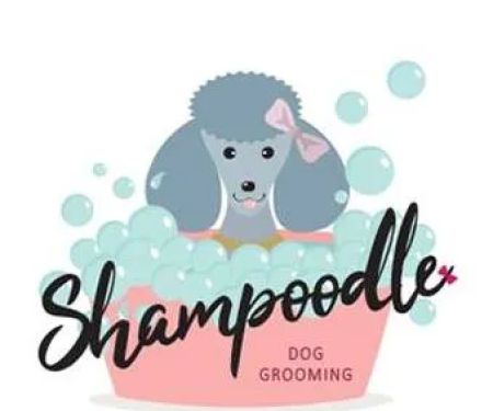 Shampoodle