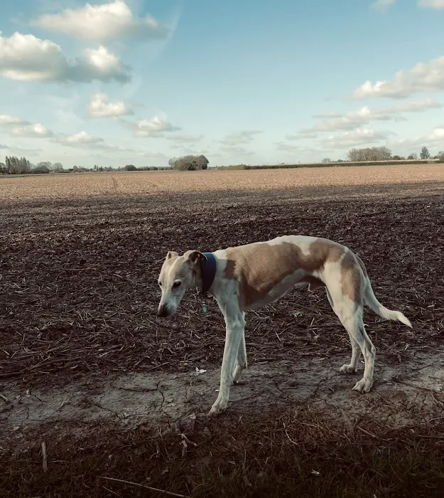 Sleaford Vets Picture 7
