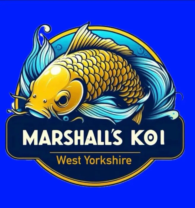 Marshall’s Koi Picture 2
