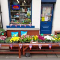 Wibsey Pet Foods ico