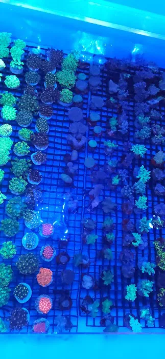 Marine World Aquatics Picture 6