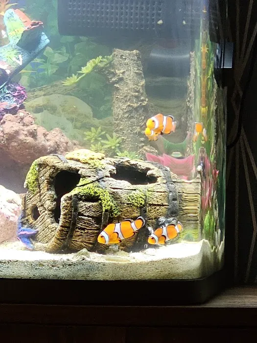 Marine World Aquatics Picture 3