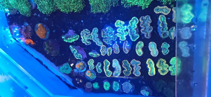 Marine World Aquatics Picture 5