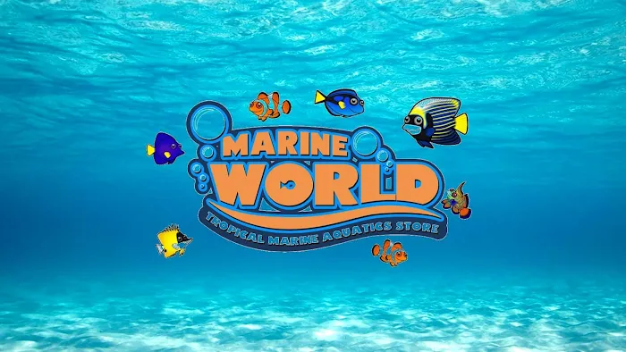 Marine World Aquatics Picture 8