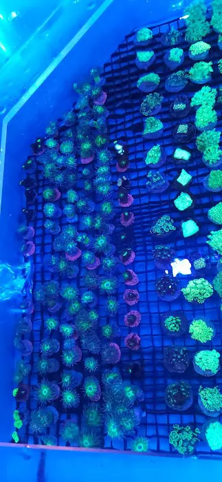 Marine World Aquatics Picture 9