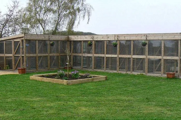 Church View Cattery Picture 4
