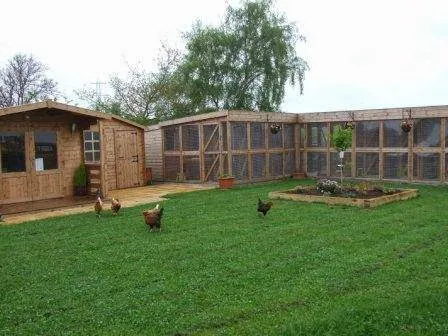 Church View Cattery Picture 2