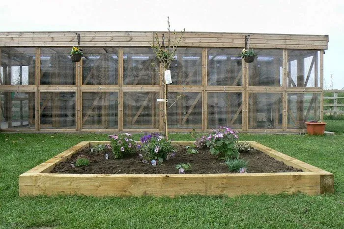 Church View Cattery Picture 3