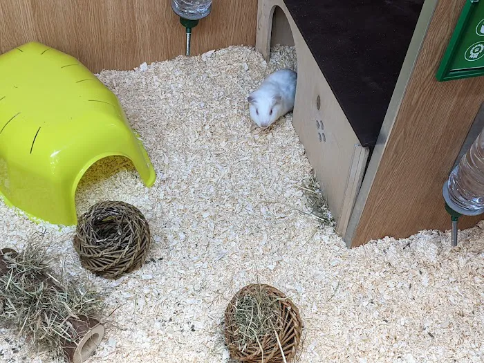 Pets at Home Bradford Picture 8