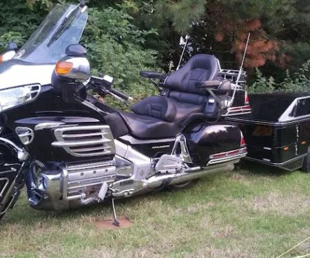 Abi's Hotel For Cats