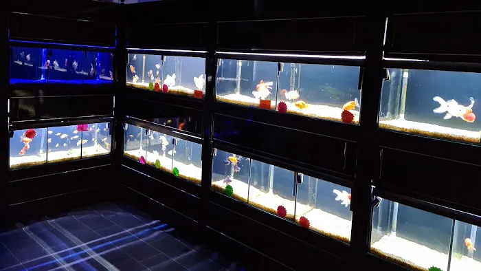 Newlyn Pets Picture 4