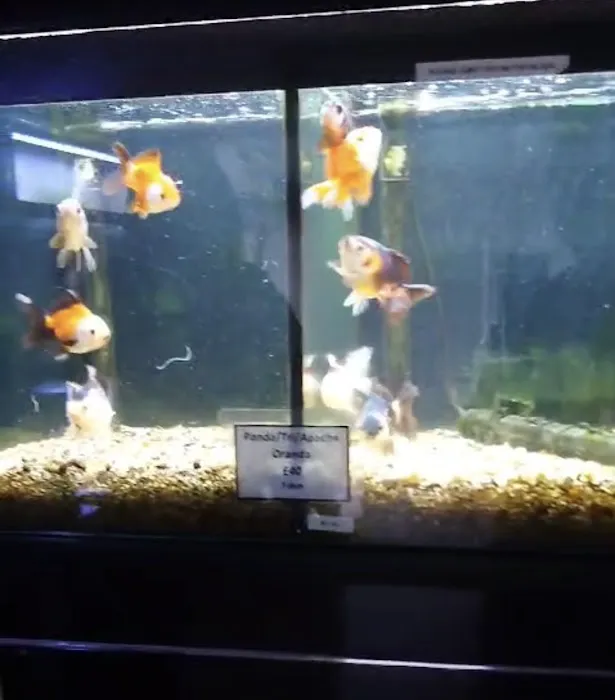 Newlyn Pets Picture 6