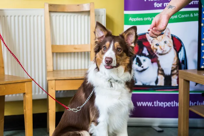Town & Country Veterinary Group Picture 9
