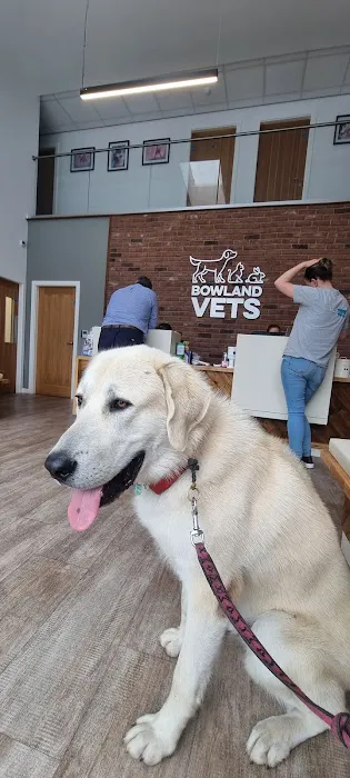 Bowland Vets Picture 4