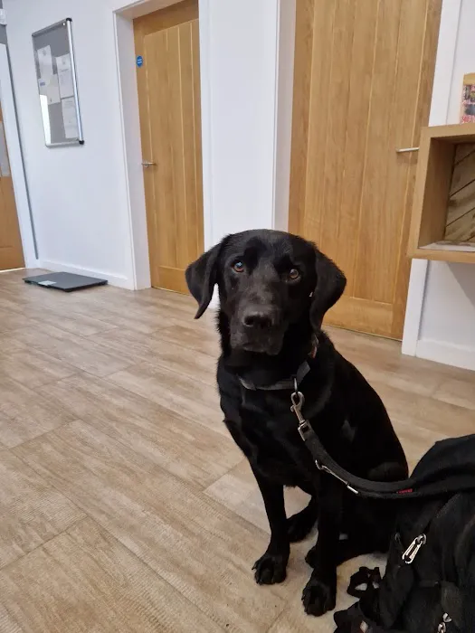 Bowland Vets Picture 2