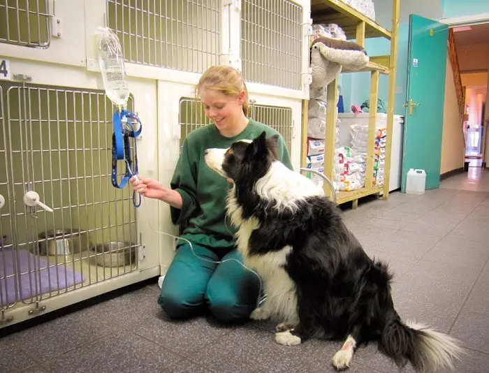 Glenn Vet Clinic Picture 3
