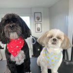 Glenn Vet Clinic