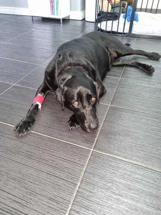 Glenn Vet Clinic Picture 4