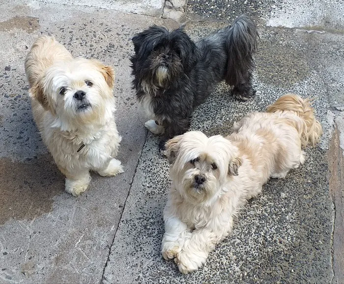 Rathgael Veterinary Clinic Picture 5