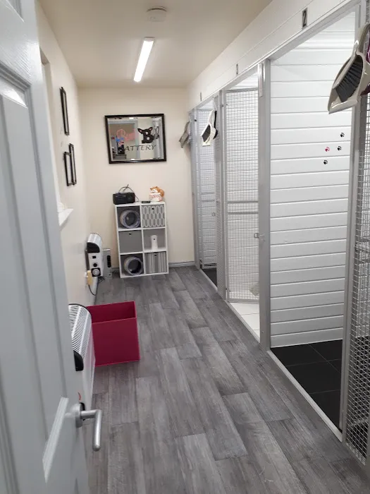 Bonnie B's Cattery Picture 3