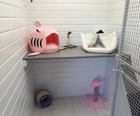 Bonnie B's Cattery